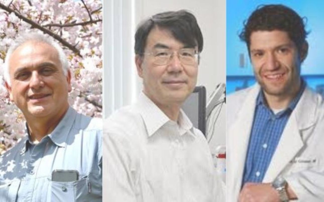 Investigadores del ICBM comentan el Premio Nobel de Medicina 2025