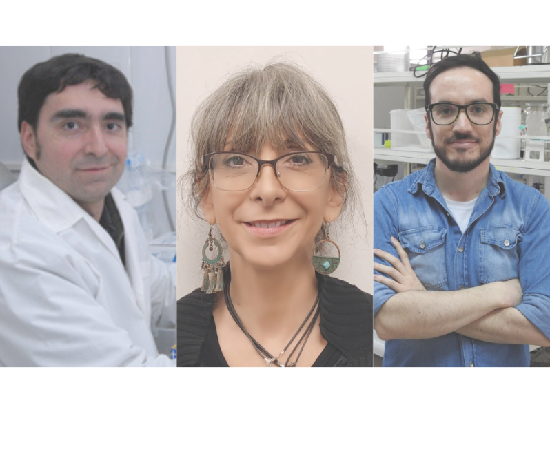 Docentes del ICBM destacan entre los mejores de la Facultad de Medicina 2025