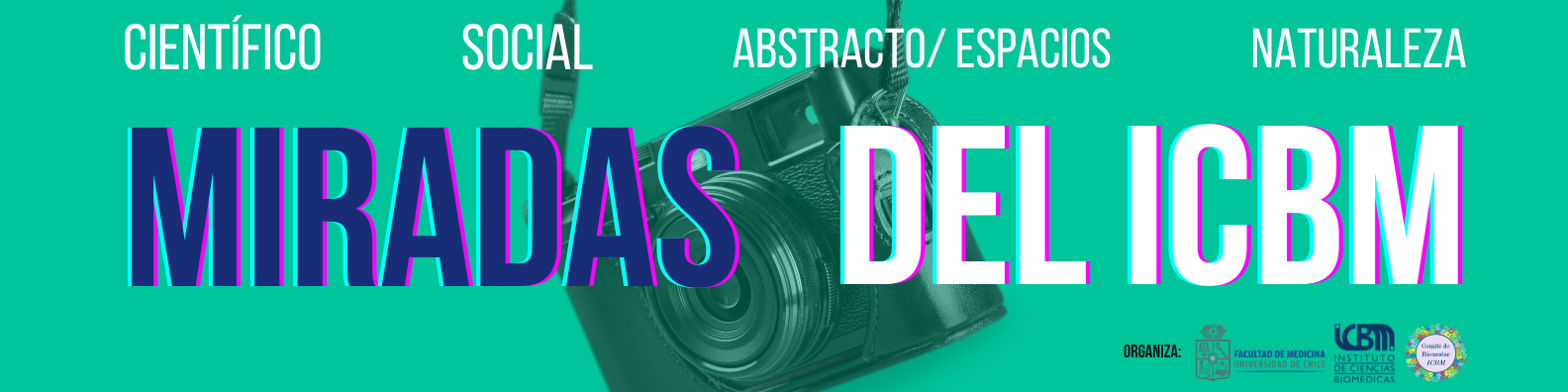 Concurso Fotográfico “Miradas del ICBM” invita a retratar la vida científica y humana del Instituto