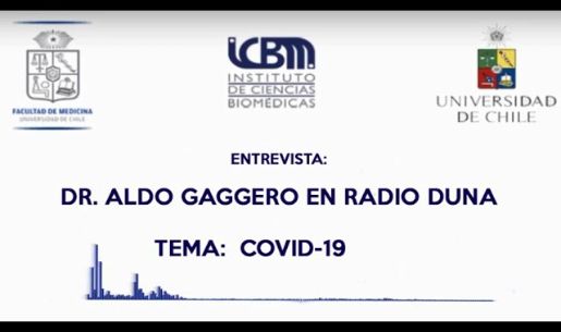 Entrevista realizada al Dr. Aldo Gaggero: 