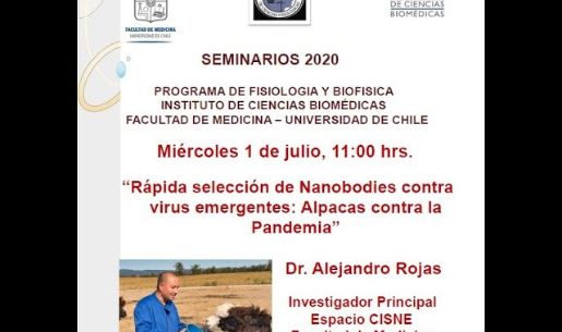 Seminario Dr. Alejandro Rojas: 
