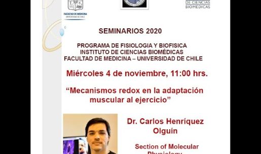 Seminario Dr. Carlos Henriquez Olguín: 