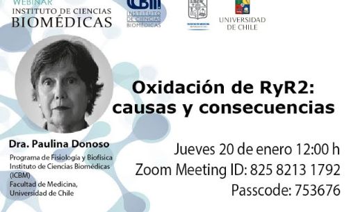 Dra. Paulina Donoso 