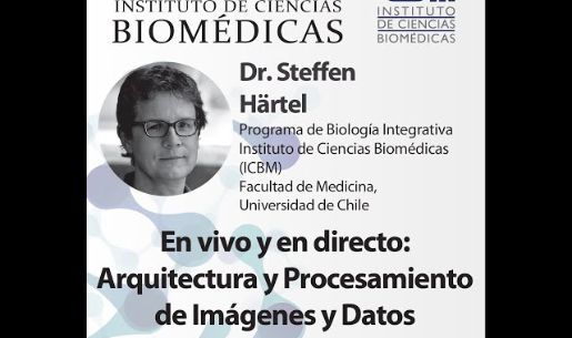 Dr. Steffen Hartel 
