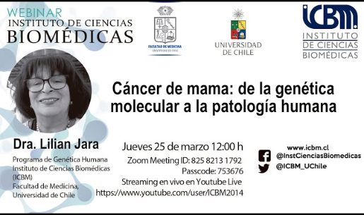 Webinar ICBM Dra. Lilian Jara: “Cáncer de mama: de la genética molecular a la patología humana”