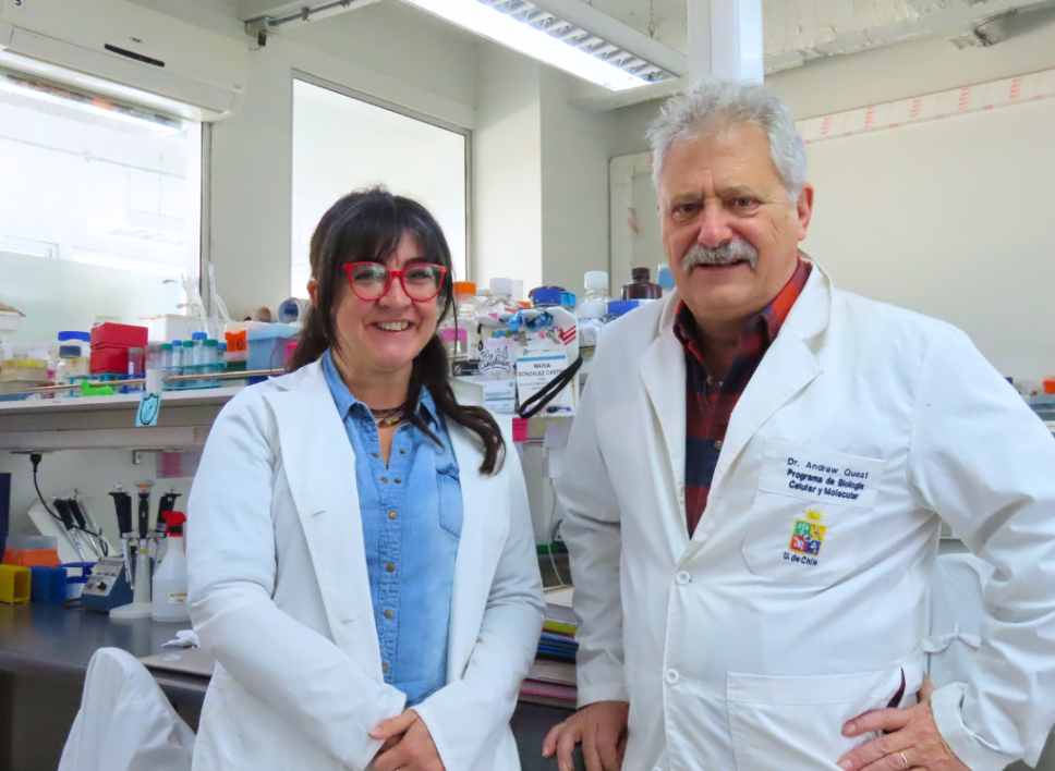 Conexión entre obesidad y cáncer: una nueva perspectiva molecular