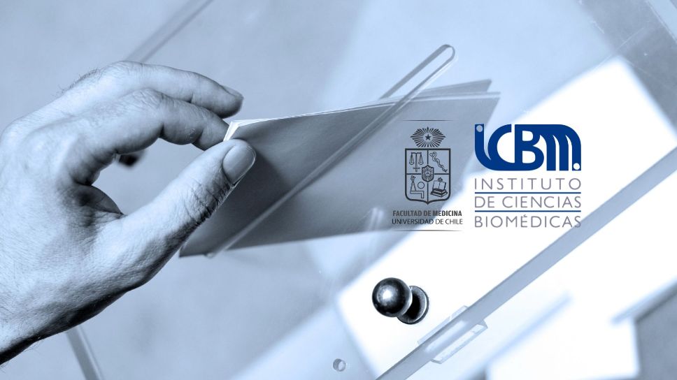 ICBM convoca a elecciones para Directores/as de Núcleos Interdisciplinarios y Consejeros/as Transversales