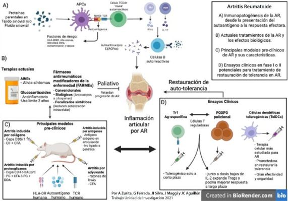 Exploran origen de artritis reumatoide: incapacita a 34 millones de personas en Latinoamérica