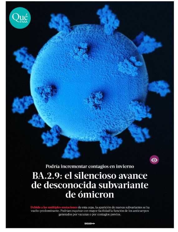 Entrevista a Dra. Vivian Luchsinger en La Tercera, sobre subvariante BA.2.9