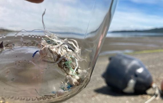 Científicos de la U. de Chile medirán contaminación en el mar de Chiloé