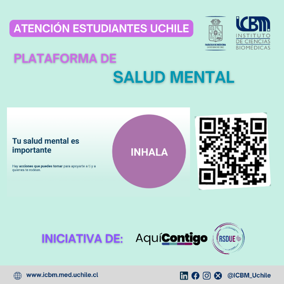 Aquí contigo: herramientas para mejorar la salud mental al alcance de un clic