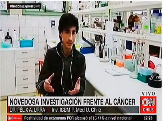 Proteína de los elefantes combatiría el cáncer-CNN Chile-Dr. Félix Urra-ICBM