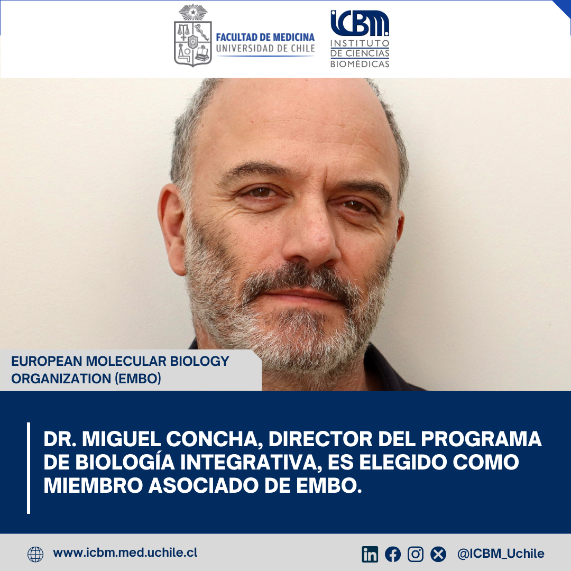 Dr. Miguel Concha, Director del Programa de Biología Integrativa, es elegido como miembro asociado de EMBO