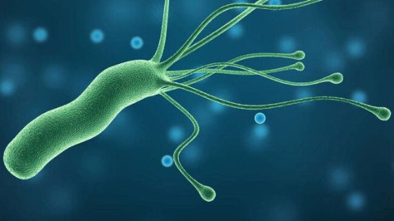 Exploran la efectividad de una estrategia de tamizaje y tratamiento contra la infección por ‘Helicobacter pylori’