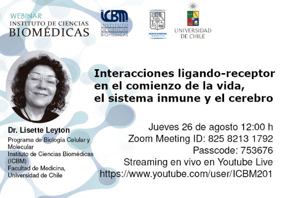 Webinar: Interacciones ligando-receptor en el comienzo de la vida, el sistema inmune y el cerebro