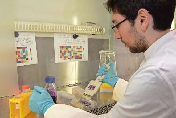 Detección y tratamiento precoz de bacteria en escolares podría prevenir el cáncer gástrico