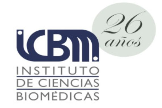 Celebremos nuestro 26 Aniversario ICBM