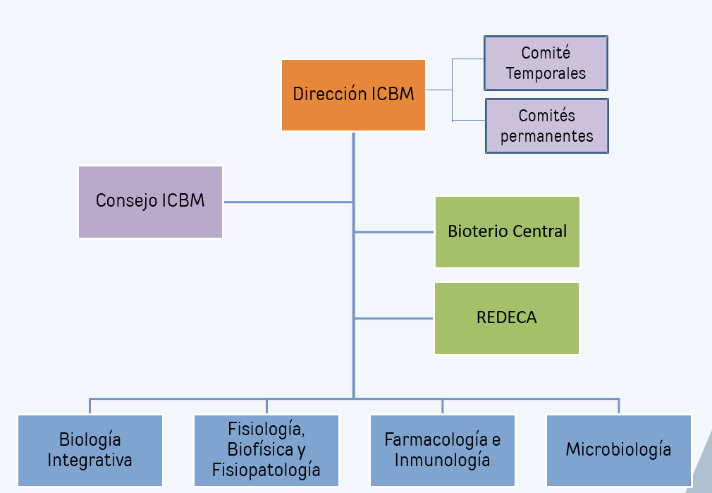 Organigrama ICBM